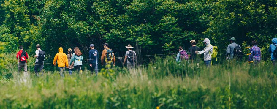 The Patagonia Burlington's staff walking along one of the Intervale trails during their Annual Field Day on June 6th, 2018. Photo Credit: Zach Walbridge.