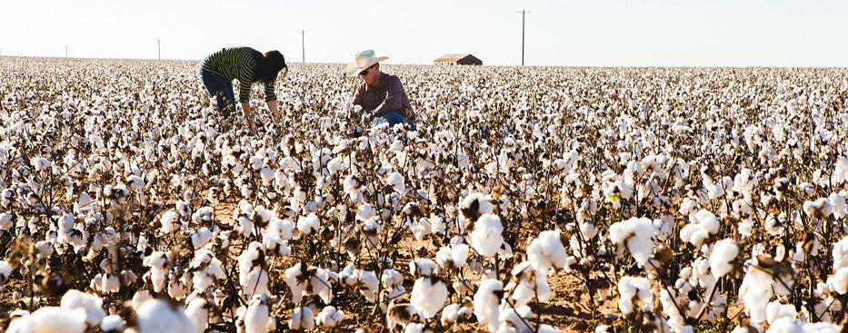 Regenerative Organic combats climate change with healthy soil as well as the fair treatment of animals and people. Photo Credit: Tim Davis