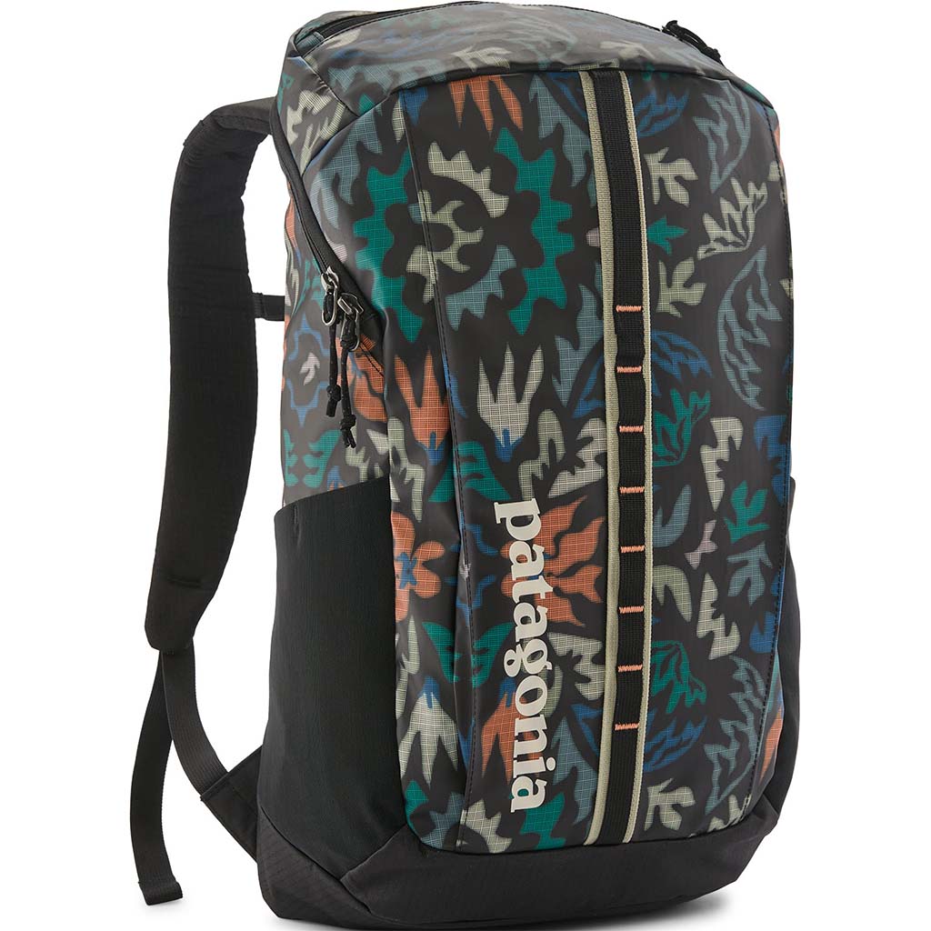 Patagonia Black Hole Pack 25L