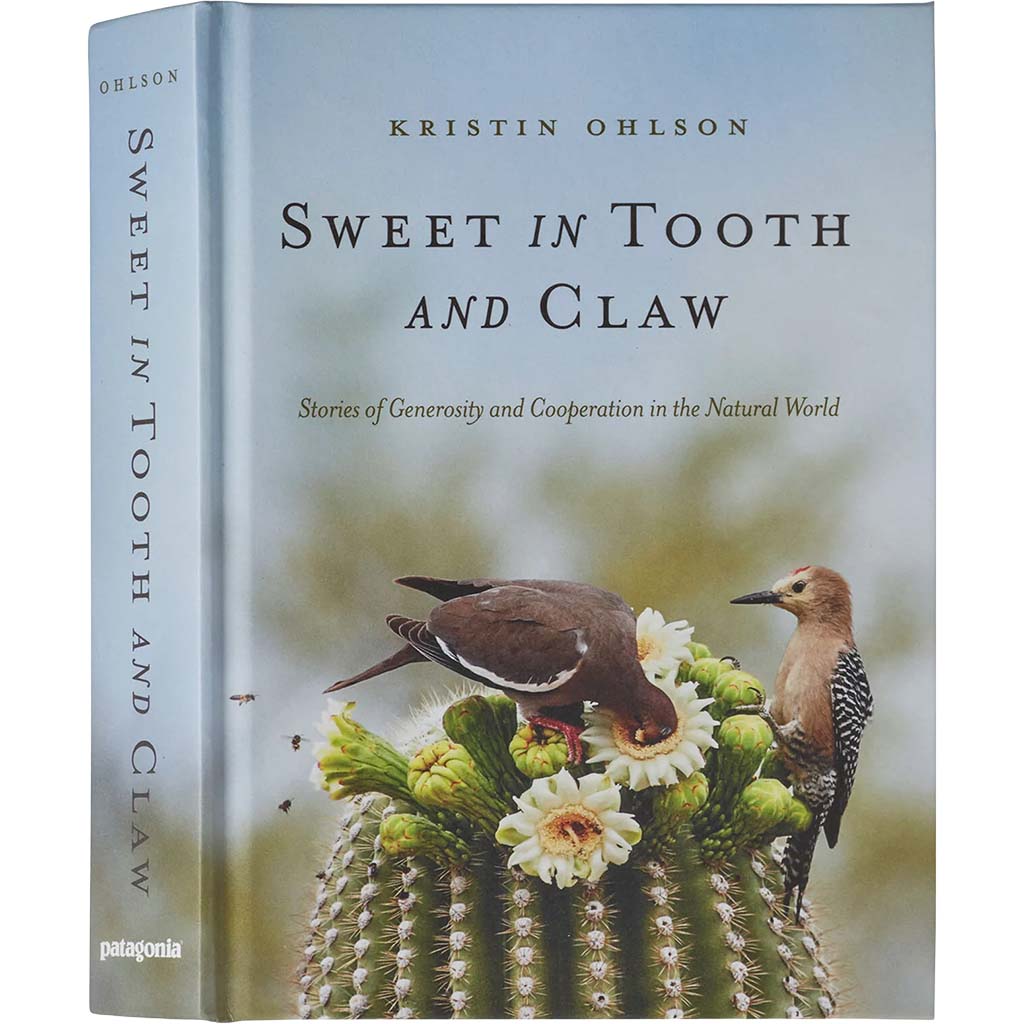 Sweet In Tooth & Claw - Patagonia Book