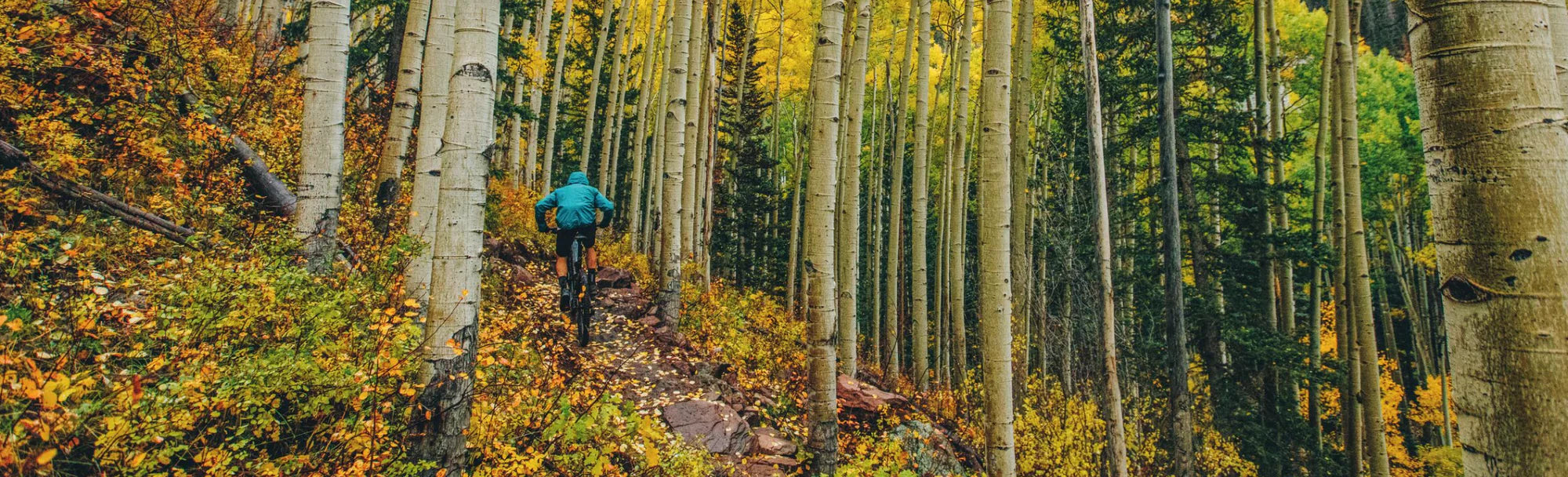 Mountain Biking
