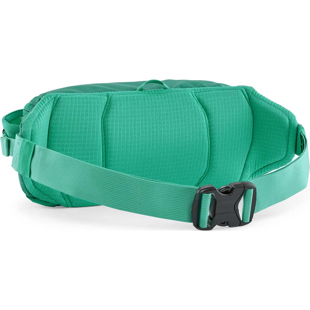 Black Hole Waist Pack 5L