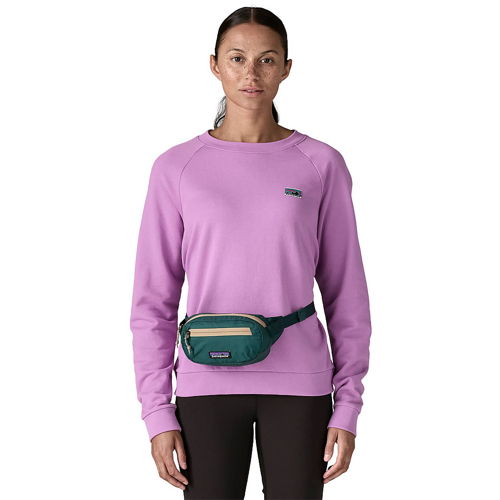 Terravia Mini Hip Pack