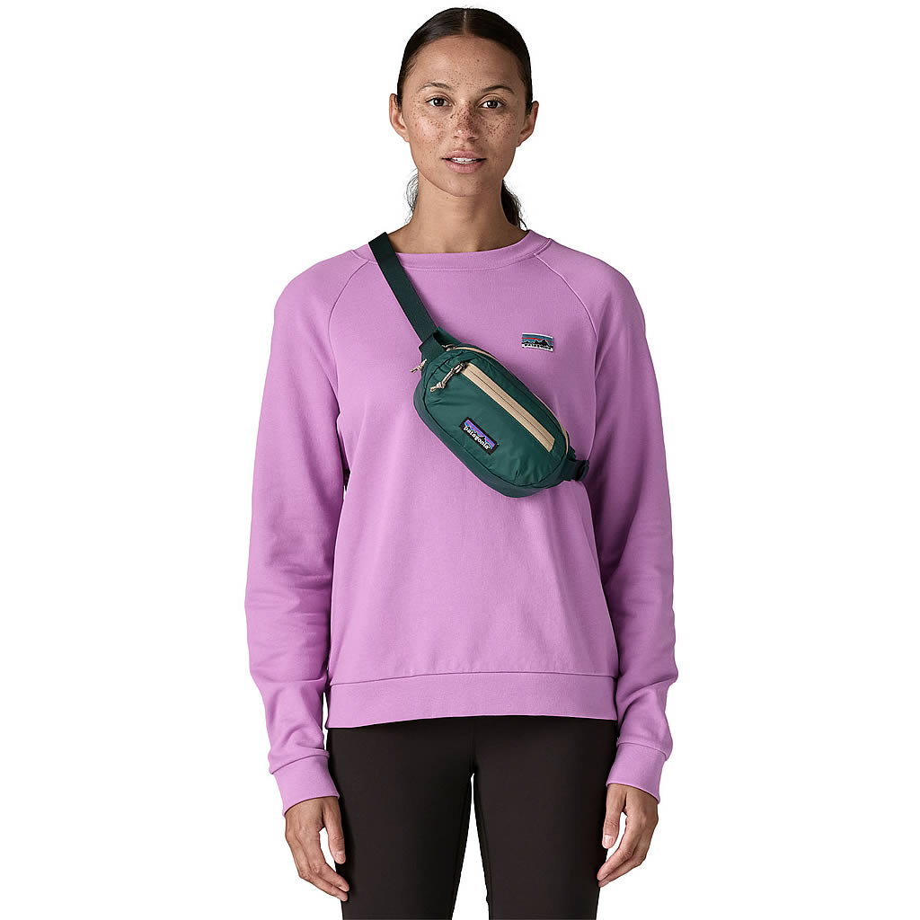 Terravia Mini Hip Pack