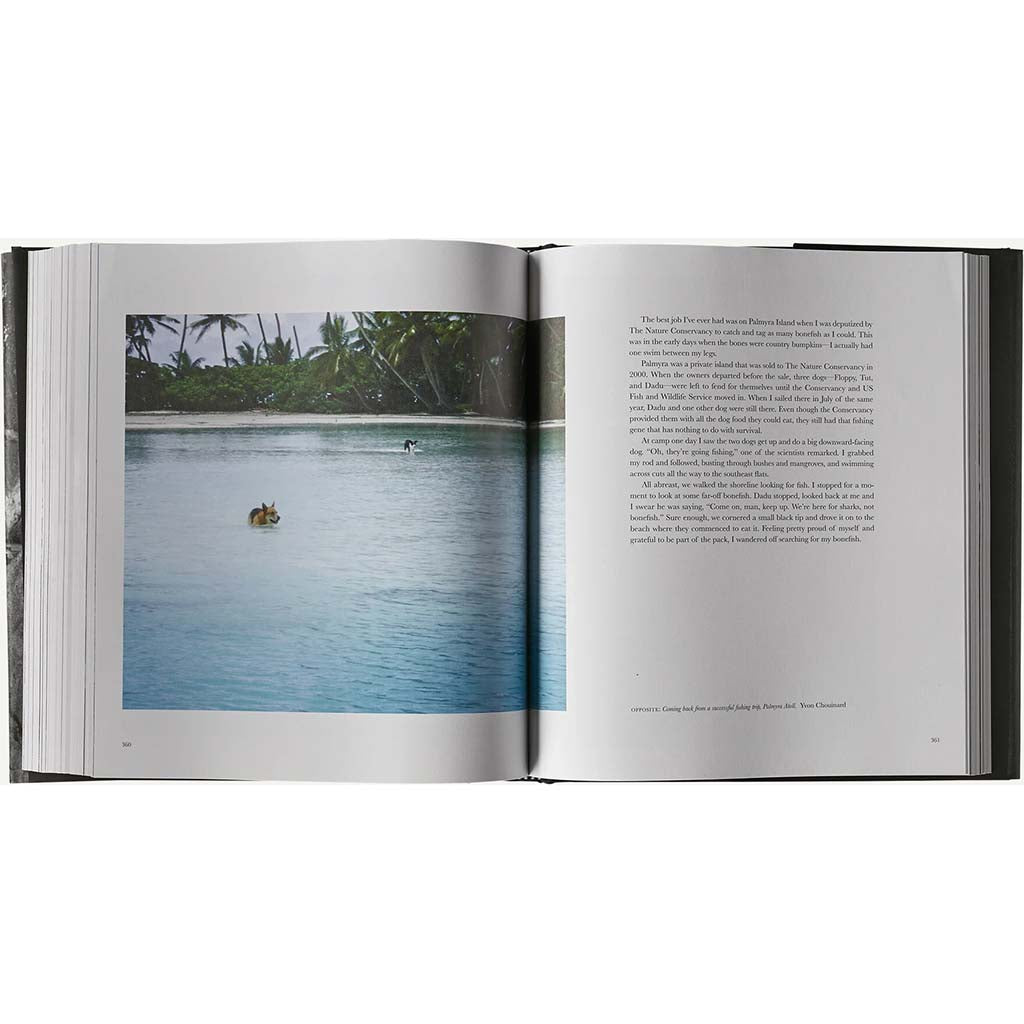 Some Stories -Some Stories: Lessons from the Edge of Business and Sport by Yvon Chouinard (hardcover book published by Patagonia)