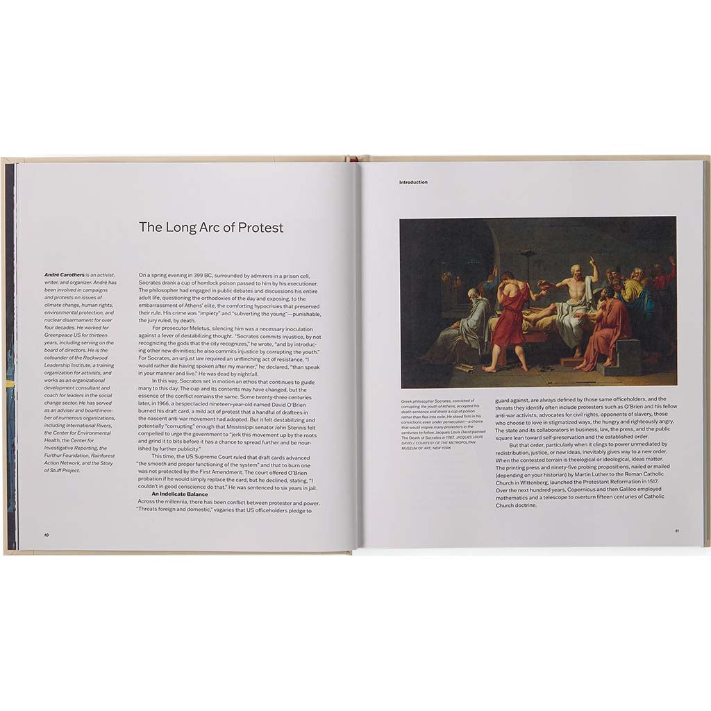 Protest: Respect It. Defend It. Use It (hardcover book, published by Patagonia)