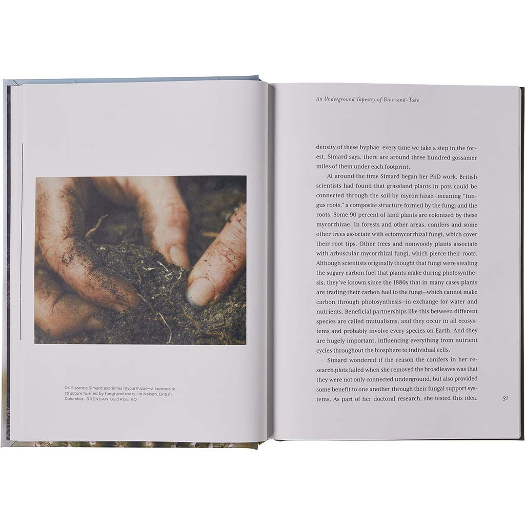 Sweet In Tooth & Claw - Patagonia Book