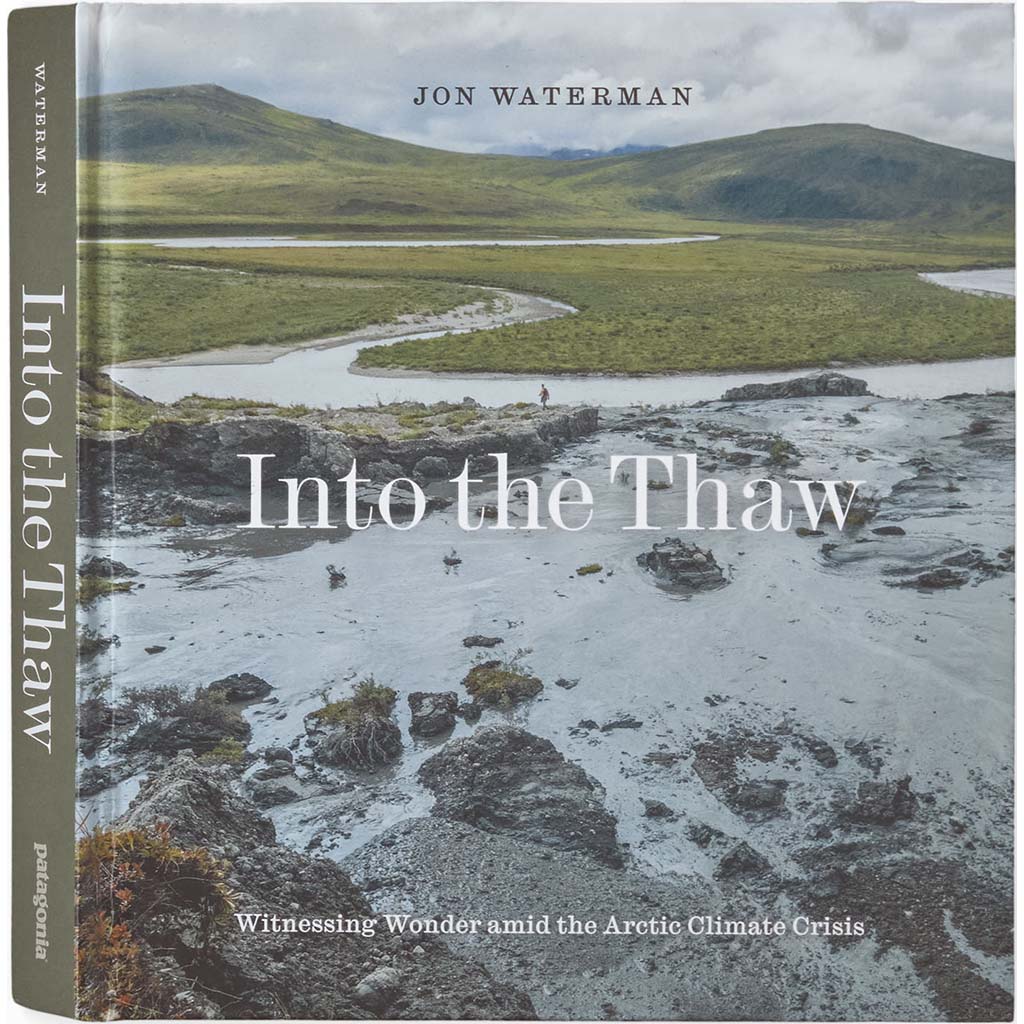 Into The Thaw: Witnessing Wonder Amid The Arctic